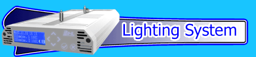 Lighting System (Freshwater & Saltwater)