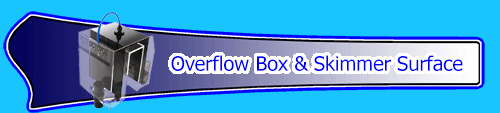 Overflow Box & Skimmer Surface (Freshwater & Saltwater)