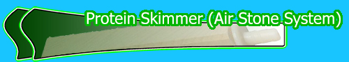 Protein Skimmer (Air Stone System)