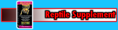 Reptile Supplement