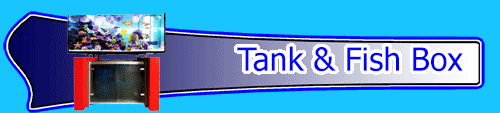 Tank & Fish Box (Freshwater & Saltwater)