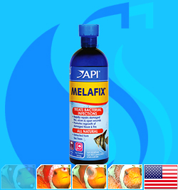 API (Treatment) MelaFix  473ml