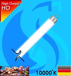 AquaLight (T5 Bulb) T5HO 10000k 39w (White 10000k)