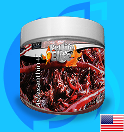 PetLife (Vitamins) PetLifeElite Astaxanthin  3g (125ml)