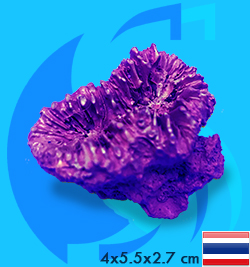 SeaSun DreamMagic (Decoration) Frogspawn Coral Metallic Purple FRO-03-MP