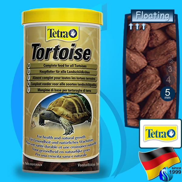 Tortoise sales food price