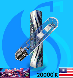 XM (MH Bulb) XSE250/B 20000k