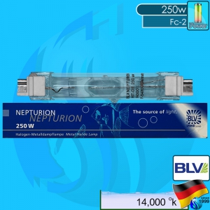 BLV (MH Bulb) Nepturion 222603 DE250w 14000k (White 14000k)