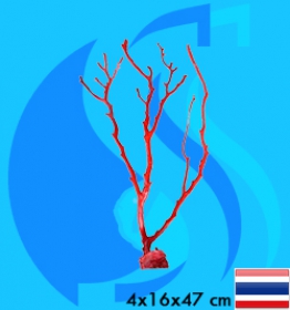 SeaSun DreamMagic (Decoration) Sea Fan Red FAN-03-R