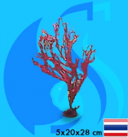 SeaSun DreamMagic (Decoration) Sea Fan Red FAN-14-R