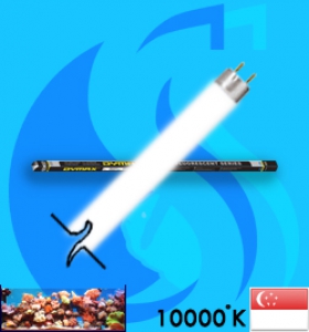 Dymax (T5 Bulb) T5NO Tropical DM198 28w (White 10000k)