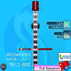 Jeneca (LED Lamp) Arawana  T8-LY 800 12w 73cm (220V AC)
