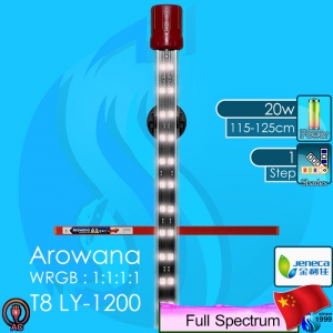 Jeneca (LED Lamp) Arawana  T8-LY1200 20w 113cm (220V AC)