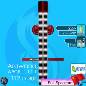 Jeneca (LED Lamp) Arawana T12-LY 800 22w 73cm (220V AC)