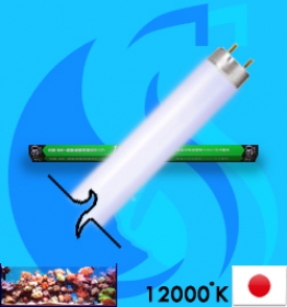 Kowa System (Fluorescent Bulb) FL-20SS-CB/18 (T8 12000k 18w)