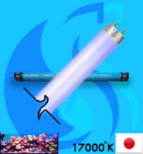 Kowa System (Fluorescent Bulb) FL-20SS-DB/18 (White 17000k)