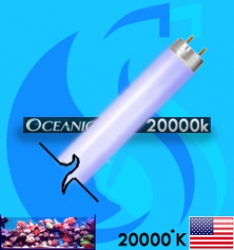Oceanic (Fluorescent Bulb) 20000K (T12 20000k 20w)