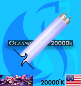 Oceanic (Fluorescent Bulb) 20000K (White 20000k)