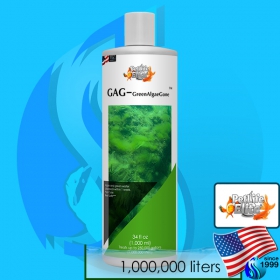PetLife (Conditioner) PetLifeElite GAG-GreenAlgaeGone 1000ml