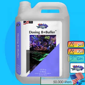 PetLife (Conditioner) ReefLifeElite Dosing B+Buffer  5000ml