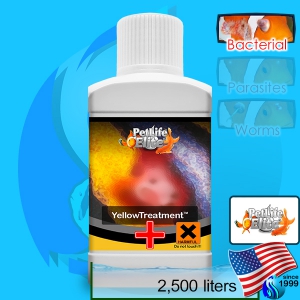 PetLifeElite (Treatment) YellowTreatment  250ml