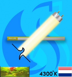 Philips (Fluorescent Bulb) Super80 TL-D 840 18w (White 4000k)