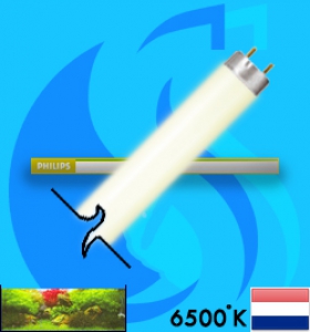 Philips (Fluorescent Bulb) Super80 TL-D 865 18w (White 6500k)