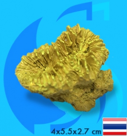 SeaSun DreamMagic (Decoration) Frogspawn Coral Metallic Yellow FRO-03-MY