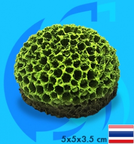 SeaSun DreamMagic (Decoration) Goniopora Coral GON-01-MG