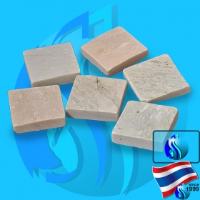 SeaSun (Coral Glue) ReefFrag 40mm 6pcs