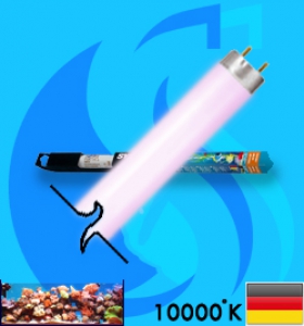 Sylvania (Fluorescent Bulb) Aquastar 36w (Pink 10000k)