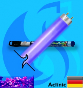 Sylvania (Fluorescent Bulb) Coralstar 18w (Blue 420nm)