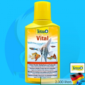 Tetra (Vitamins) Vital 250ml