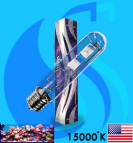 XM (MH Bulb) XSE250/ DB 15000k