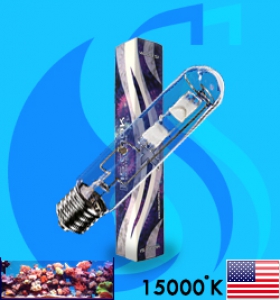 XM (MH Bulb) XSE250/ DB 15000k (White 15000k)