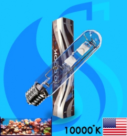 XM (MH Bulb) XSE400/ D 10000k
