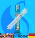 Sylvania (MH Bulb) Aqua Arc 150w 10000k